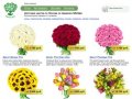 Mnogoroz.ru - доставка  цветов и букетов мелким оптом. Москва