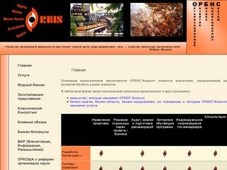 Разработка стратегических планов оптимизация организационной структуры ОРБИС-Консалт Санкт-Петербург