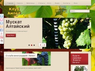 Виноград на Алтае и в Сибири