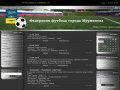 Официальный сайт Федерации футбола города Мурманска