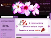 Интернет магазин экзотических растений (Интернет-магазин "Адениум Сибирь", г.Новосибирск, тел. +79835104169)