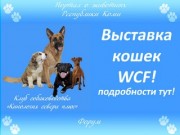 Zookomi.ru - Портал о животных Республики Коми