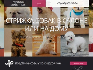 Стрижка собак в Москве |