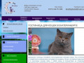 Гостиница для кошек в Екатеринбурге - Котофей