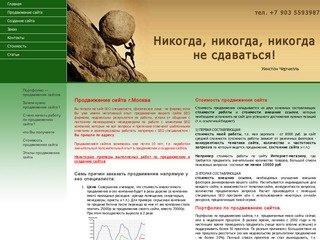 Создание сайтов и продвижение сайта Москва, SEO оптимизация и продвижение сайта | 89035593987.