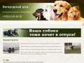 ДогОтель66.рф - гостиница для животных в Екатеринбурге