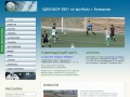 СДЮСШОР-2001 по футболу г. Кемерово