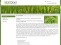 Производство риса и Продажа риса оптом г. Новосибирск Компания Rice Today