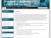 It-uslugi36.ru | монтаж систем СКС, ЛВС, видеонаблюдение, обслуживание  компьютеров в Воронеже
