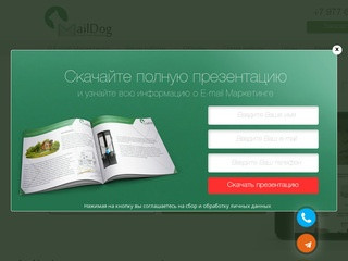 MailDog - Лояльный E-mail Маркетинг в Ваш Бизнес под ключ Москва. Mail-Dog.ru