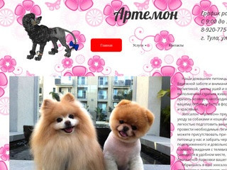 Артемон салон-парикмахерская для собак и кошек
