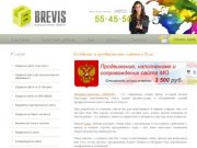 Создание и продвижение сайтов в Туле - Интернет-агентство «BREVIS»