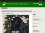 Zveri-izh.ru - Сайт и форум о собаках, кошках, зоомагазинах и ветеринарных клиниках Ижевска