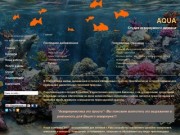 AQUA студия аквариумного дизайна Уфа