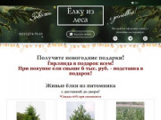 Елка из леса. Купить живую елку с доставкой по Москве и МО