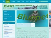 Питомник кошек породы русская голубая «Bluepet» Москва и область