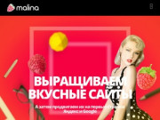 Malina — Разработка и продвижение сайтов в Иркутске