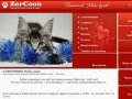 Питомник кошек породы Мейн-кун (Maine Coon) - ZarCoon