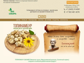 Топинамбур Тюмень