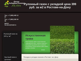Рулонный газон цена за м2 в Ростове-на-Дону.