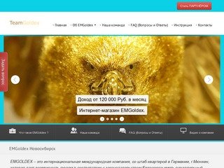 TeamGoldex - Новосибирск - интернет-магазин Emgoldex