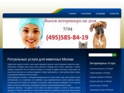 Ритуальные услуги для животных Москва &lt; Кремация | Усыпление | Захоронение