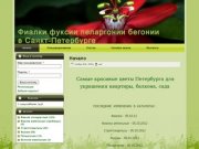 Фиалки, Фуксии, Пеларнии, Бегонии и другие комнатные растения в Санкт-Петербурге.
