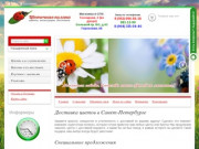 Купить / заказать цветы с круглосуточной доставкой недорого в Санкт-Петербурге