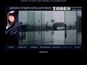 TODES школа-студия танцев Аллы Духовой Филиал на Дубнинской