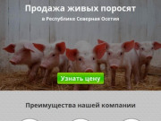 Купить поросят, молочных, маленьких, живых, мясных пород на откорм в Владикавказе и области