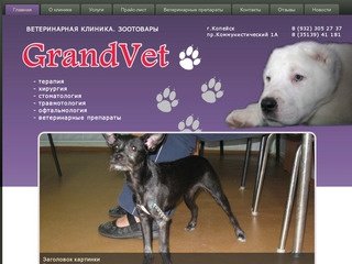 Ветеринарная клиника GrandVet в Копейске