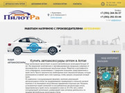 Купить автоаксессуары оптом в Алтае