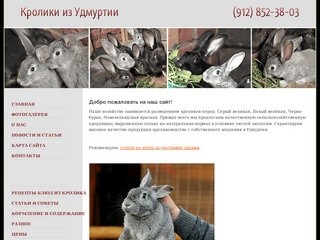 Разведение и продажа кроликов. - Kroliki18.ru - кролики из Ижевска