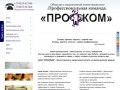 ПРОФКОМ-бухгалтерские и юридические услуги г.Соликамск