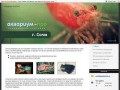 Аквариум-Про — аквариумная компания (г. Сочи)