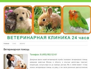 Ветклиники Москвы | Круглосуточная ветеринарная помощь (495) 902-52-61