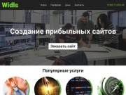 Создание сайтов в Воронеже — Веб-студия Widls.ru