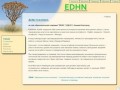 EDHN - Образовательная компания, г. Нижний Новгород, английский