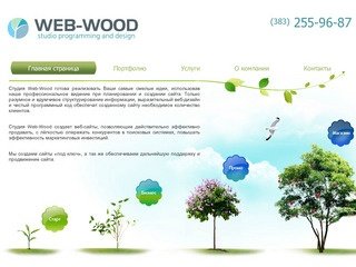 Студия Web-Wood: создание, проектирование и разработка сайтов, веб-дизайн в Новосибирске