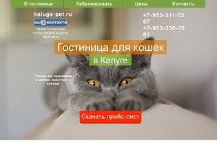 Kaluga-pet.ru - гостиница для кошек в Калуге