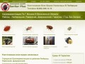 Уничтожение насекомых в Люберцах. Клопы, тараканы, чесоточные клещи