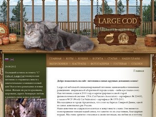 Питомник кошек "Large cod" (племенное разведение американской аборигенной породы кошек мейн кун (maine coon))