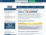 Продвижение сайтов в Краснодаре - NETZ Promo