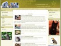 Ветеринария, содержание и лечение домашних животных (Калининград) - основы здорового содержания домашних животных, бесплатные консультации ветеринарных врачей, фитотерапия животных, доска объявлений, форум
