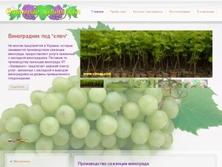 Виноград Запорожья