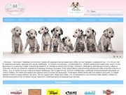 Pappymall.ru - одежда для собак, корма для собак и кошек (Интернет магазин "PAPPYMALL" - все для животных, Москва, Нагорная 6, тел. 89166292316)