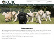 КСЛС - Курский клуб служебного и любительского собаководства города Курска