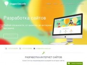 Разработка интернет сайтов, продвижение сайтов Студия Соколова, г.Могилев