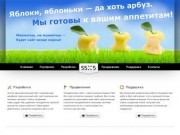 55x5 - создание и продвижение сайтов в Санкт-Петербурге