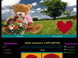 OOO "tema007.ru" - мир цветов, интернет магазин цветов